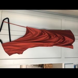 Diane Avon Furstenberg Hava dress in warm rust